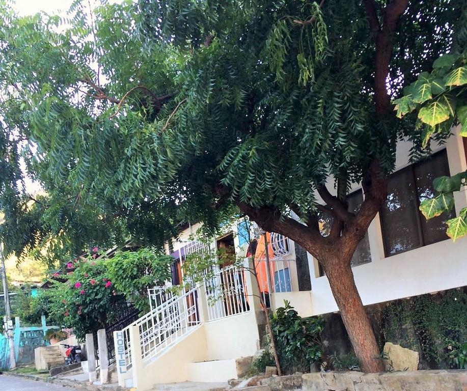 Lorena Surf Hostel San Juan del Sur Ngoại thất bức ảnh